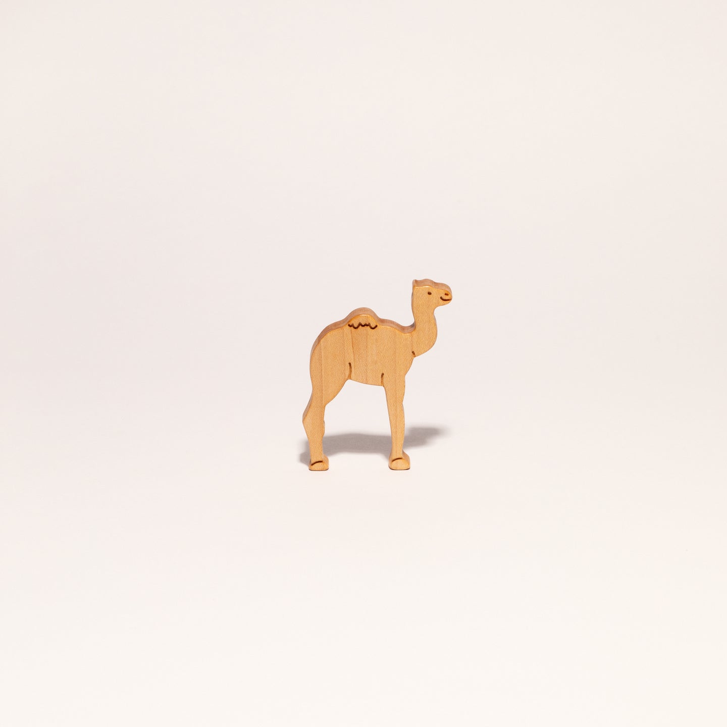 CAMEL CALF - STANDING